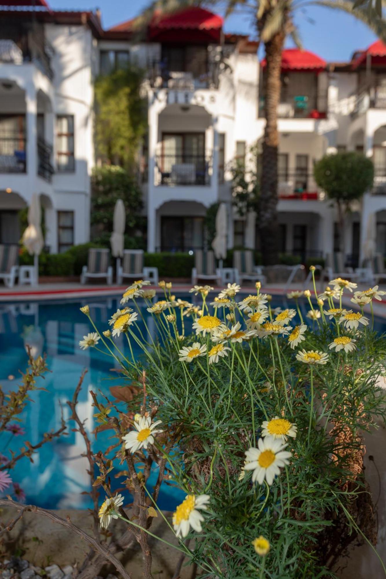 Mitos Apartments Μαρμαρίς Εξωτερικό φωτογραφία